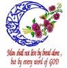 English bible