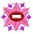 Orientalbuttonholes