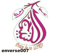 enverse007
