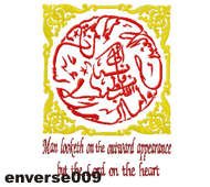enverse009