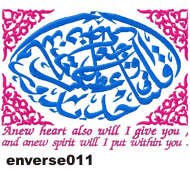 enverse011